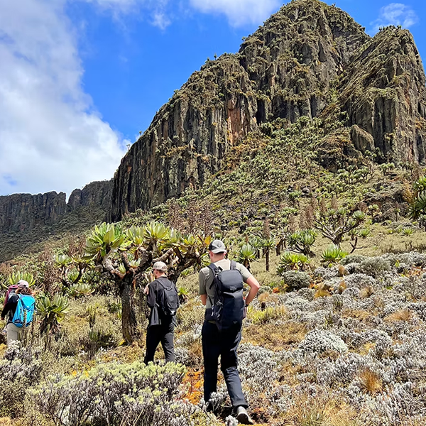 Rwenzori Mountains National Park